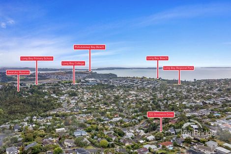 Photo of property in 120 Stredwick Drive, Torbay, Auckland, 0630