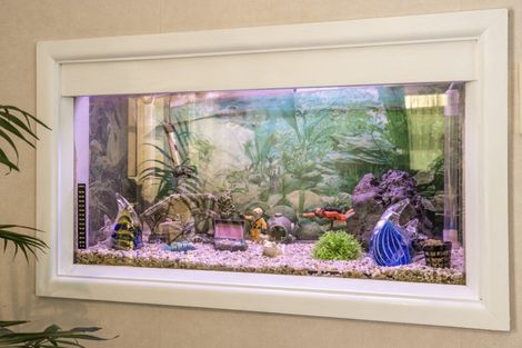 Photo of property in 85 Bayly Road, Blagdon, New Plymouth, 4310