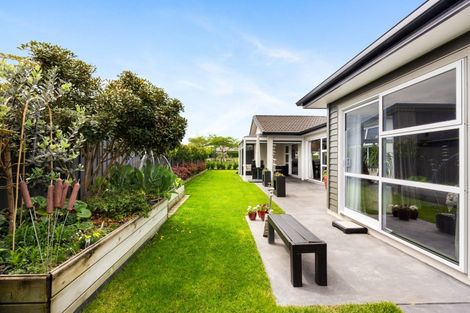 Photo of property in 21 Meissner Road, Havelock North, 4130