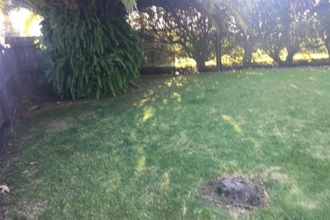 Photo of property in 67 Meadowland Street, Matua, Tauranga, 3110