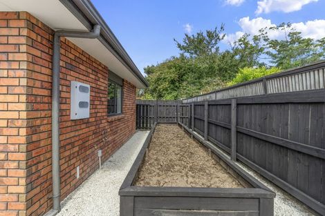 Photo of property in 13 Bexley Way, Morrinsville, 3300