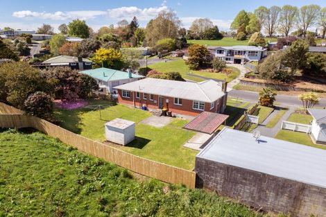 Photo of property in 106 Reservoir Street, Putaruru, 3411