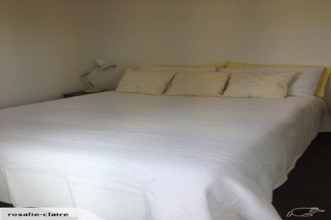 Photo of property in The Peak Apartments, 406/170 Taranaki Street, Te Aro, Wellington, 6011