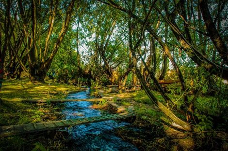 Photo of property in 41 Monteith Road, Albert Town, Wanaka, 9382