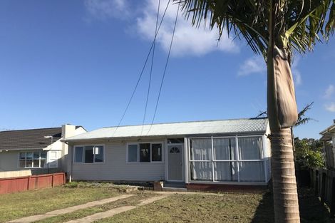 Photo of property in 67 Webster Avenue, Mount Roskill, Auckland, 1041