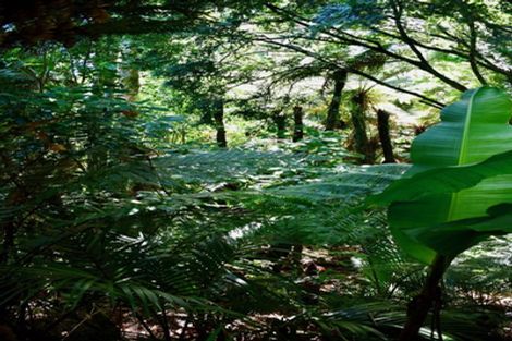 Photo of property in 21 Horncastle Crescent, Little Wanganui, Karamea, 7893