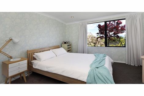 Photo of property in 41 Park Drive, Richmond, 7020