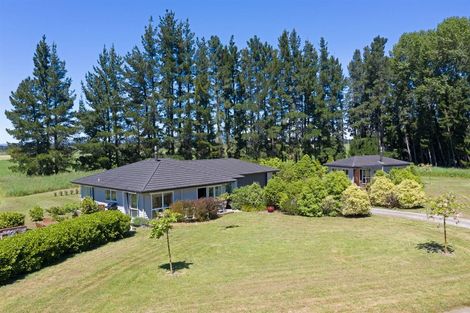 Photo of property in 388 Bidwills Cutting Road, Morison Bush, Greytown, 5794