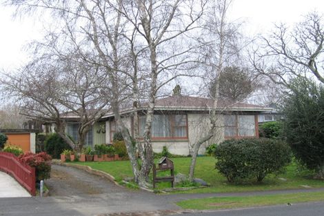 Photo of property in 19 Michael Avenue, Dinsdale, Hamilton, 3204