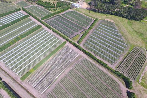 Photo of property in 3167 State Highway 1, Pukenui, Kaitaia, 0484