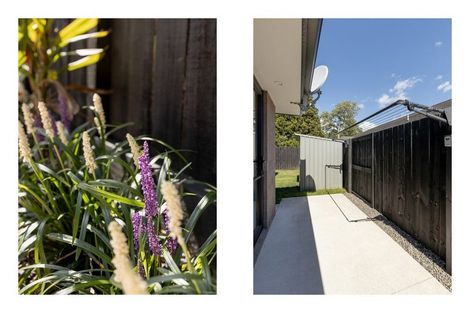 Photo of property in 11 Clover Lane, Pyes Pa, Tauranga, 3112