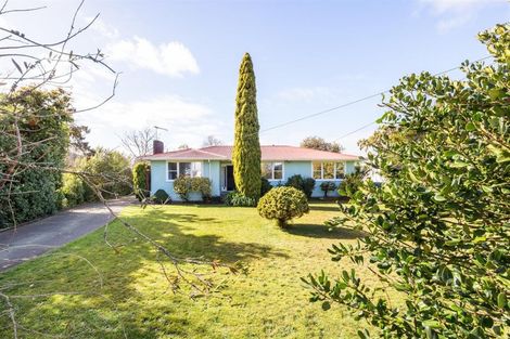 Photo of property in 162 Bridge Street, Bulls, 4818