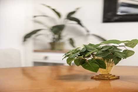 Photo of property in 10 Greta Place, Stanmore Bay, Whangaparaoa, 0932