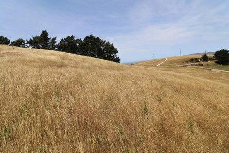 Photo of property in 668c Old Hill Road, Porangahau, 4291