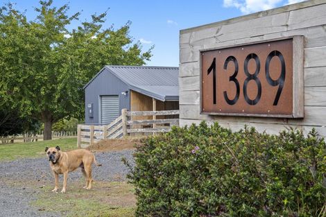 Photo of property in 1389 Highway 22, Pukekawa, Tuakau, 2696
