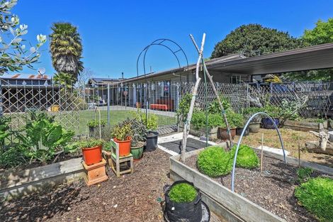 Photo of property in 100 Flaxmere Avenue, Flaxmere, Hastings, 4120