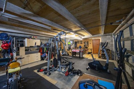 Photo of property in 44 Alfred Street, Roslyn, Palmerston North, 4414