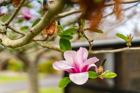 Photo of property in 49 Newton Road, Maungatapere, Whangarei, 0170