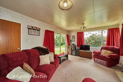 Photo of property in 83 Worcester Street, Ashhurst, 4810