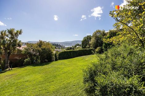 Photo of property in 38 Spottiswoode Street, Andersons Bay, Dunedin, 9013
