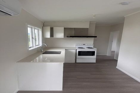 Photo of property in 17 Tomo Street, New Lynn, Auckland, 0600