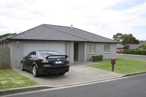Photo of property in 17 Nanleen Rise, Manurewa, Auckland, 2105