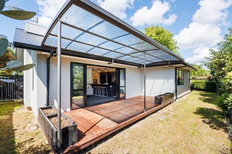 Photo of property in 63a Keeling Street, West End, Palmerston North, 4412