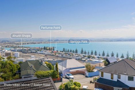 Photo of property in 17 Roslyn Road, Bluff Hill, Napier, 4110