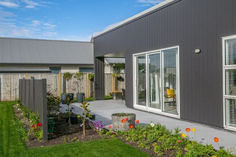 Photo of property in 1 Whatman Avenue, Masterton, 5810