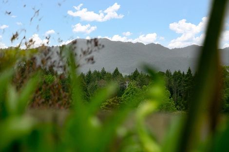 Photo of property in 41a Arapuni Road, Arapuni, Putaruru, 3415