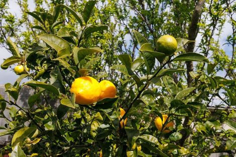 Photo of property in 43 Sutherland Crescent, Westbrook, Palmerston North, 4412