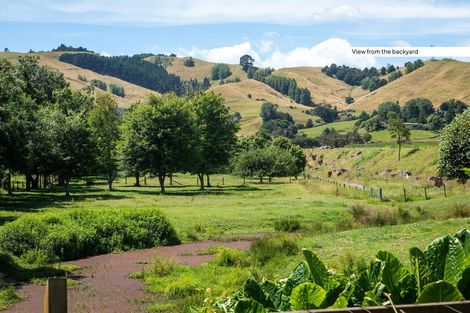 Photo of property in 57 Thames Road, Paeroa, 3600