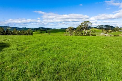 Photo of property in 1043 Whananaki Road North, Opuawhanga, Hikurangi, 0181