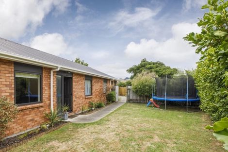 Photo of property in 52 Lincoln Street, Ashhurst, 4810