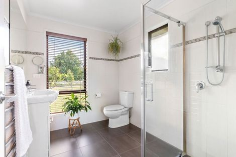 Photo of property in 763 White Pine Bush Road, White Pine Bush, Whakatane, 3191