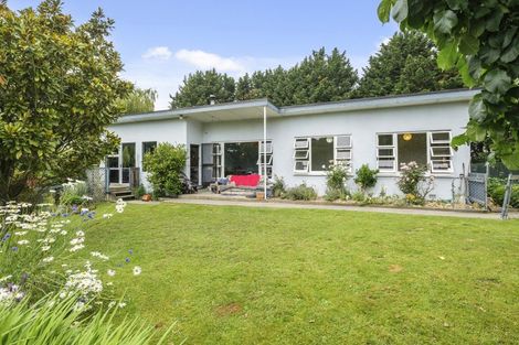 Photo of property in 879 Palmerston-waikouaiti Road, Goodwood, Palmerston, 9481