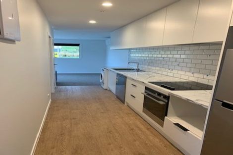 Photo of property in 9 Bannister Street, Jacks Point, Queenstown, 9371