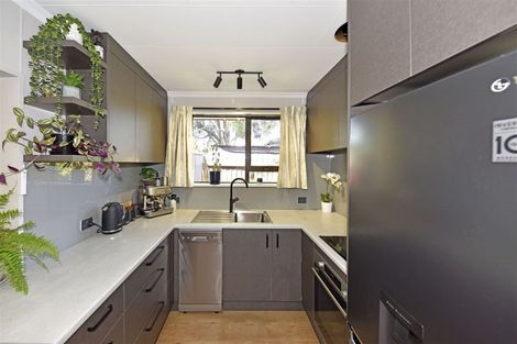 Photo of property in 25a Horseshoe Lake Road, Shirley, Christchurch, 8061