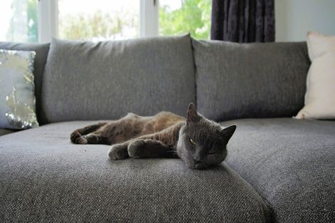 Photo of property in 79 Robinson Crescent, Westbrook, Palmerston North, 4412