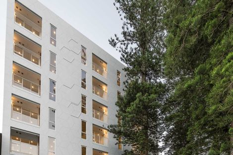 Photo of property in 305/11 Akepiro Street, Mount Eden, Auckland, 1024