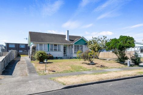 Photo of property in 29 Hinemoa Street, Levin, 5510