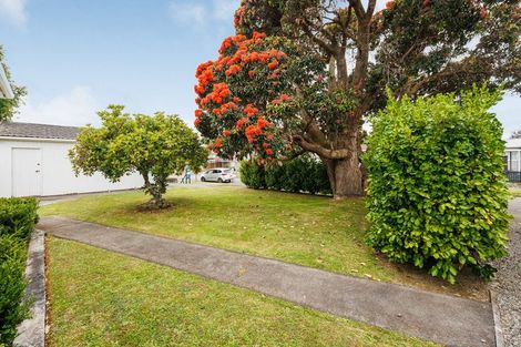 Photo of property in 7 Salisbury Avenue, Terrace End, Palmerston North, 4410