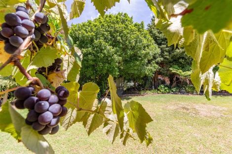 Photo of property in 17a Edkins Road, Kerikeri, 0230