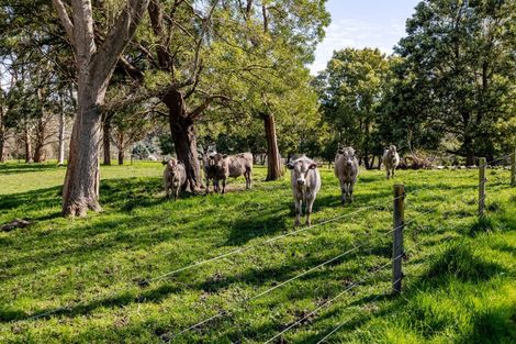 Photo of property in 180 Pukemiku Road, Mangamutu, Pahiatua, 4983