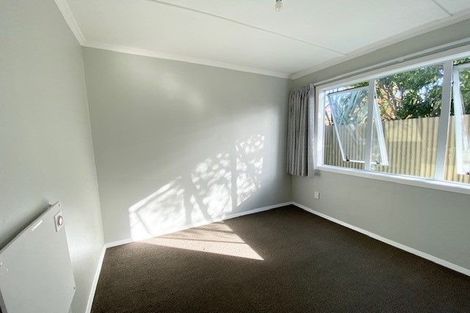Photo of property in 22a Sussex Street, Levin, 5510
