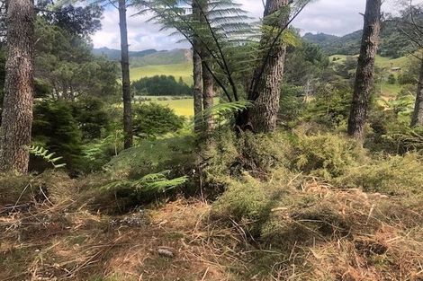 Photo of property in 205 Kaimarama Road, Kaimarama, Whitianga, 3591