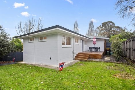 Photo of property in 130b Clyde Street, Hamilton East, Hamilton, 3216