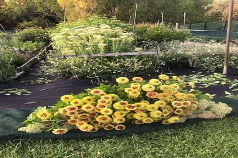 Photo of property in 2239b State Highway 12, Paparoa, 0571