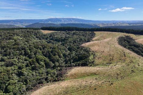 Photo of property in 205 Otokia-kuri Bush Road East, Kuri Bush, Dunedin, 9091