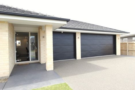 Photo of property in 21 Payne Court, Lincoln, 7608